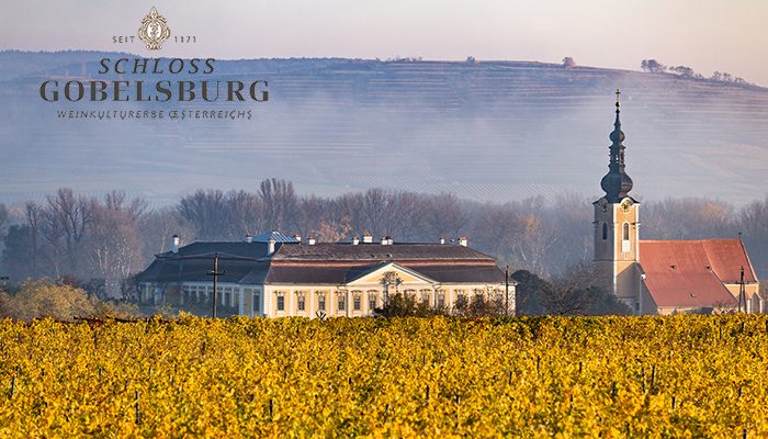 schloss gobelsburg slide 2333333
